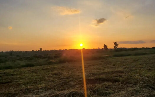 Ushirika Gardens by CIC Group – Premium ¼ Acre Plots in Kiambu County
