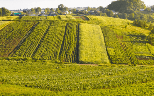 Ushirika Gardens by CIC Group – Premium ¼ Acre Plots in Kiambu County