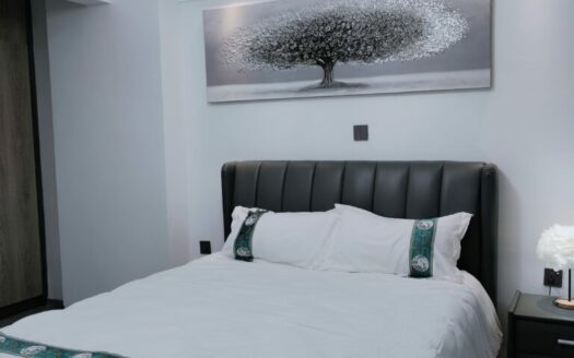 Luxury 4-Bedroom + DSQ Apartments – Alina Valley Kilimani